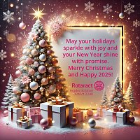 Merry Christmas and Happy New Year 2025